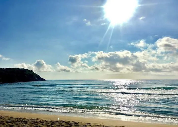 Sweet Sinemorets 辛尼莫雷特