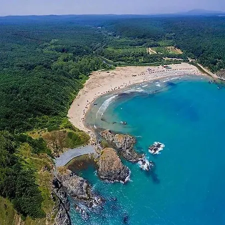 Sweet Sinemorets * シネモレツ