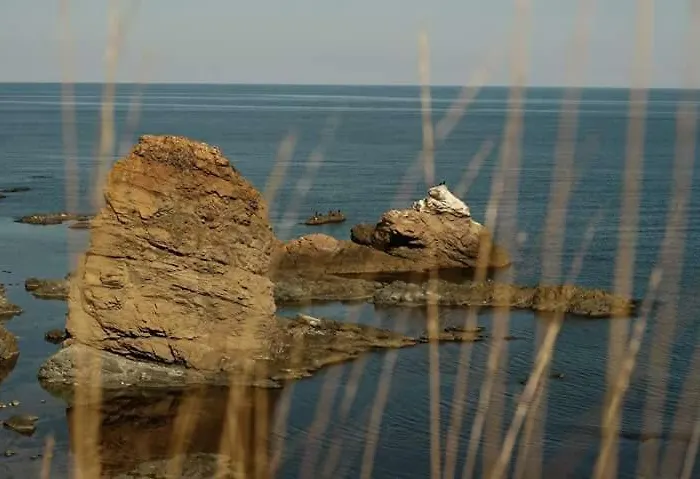 Homestay szállás Sweet Sinemorets Szinemorec