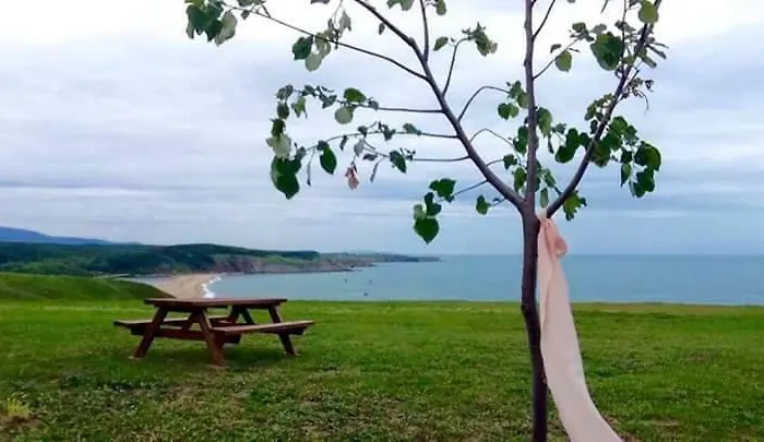 Sweet Sinemorets Sinemoretz